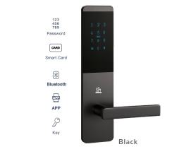 Khóa cửa thông minh WINFREE HC-P0101