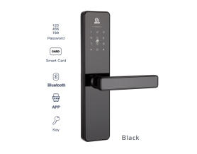 Khóa cửa thông minh WINFREE HC-P1