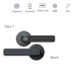 Tay nắm cửa thông minh WINFREE HC-R1