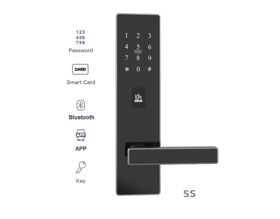 Khóa cửa thông minh WINFREE HC-P01