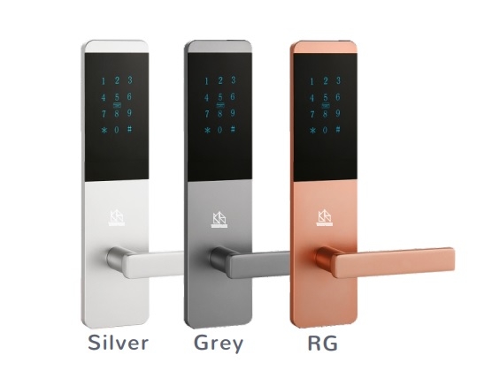 Khóa cửa thông minh WINFREE HC-P0101