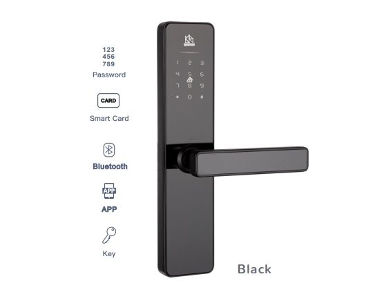 Khóa cửa thông minh WINFREE HC-P1