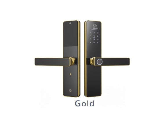 Khóa cửa phòng thông minh WINFREE HC-Q1