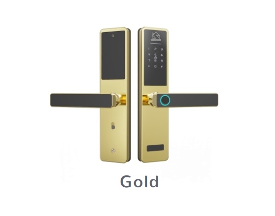 Khóa cửa phòng thông minh WINFREE HC-Q2