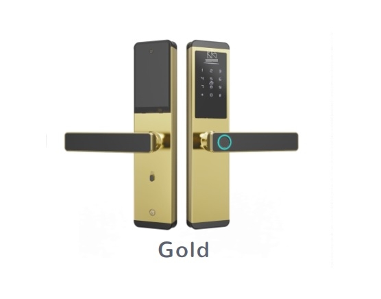 Khóa cửa phòng thông minh WINFREE HC-Q3