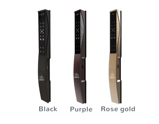 Khóa cửa thông minh WINFREE W-X06